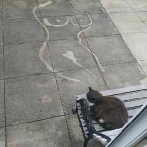 Obrázek '-Dad was pressure washing the patio-      05.09.2012'