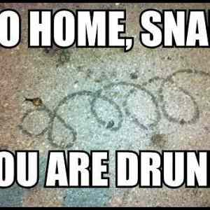 Obrázek '-Go home snail - you are drunk-      21.10.2012'