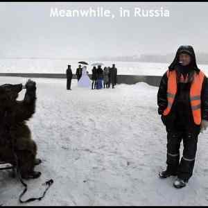 Obrázek '-Meanwhile in Russia-      10.12.2012'