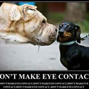 Obrázek '-No Eye Contact-      19.09.2012'