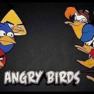 Obrázek '- Angry Birds -      15.02.2013'