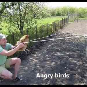 Obrázek '- Angry birds -      13.06.2013'