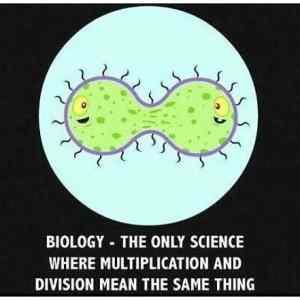 Obrázek '- Biology -      14.01.2013'