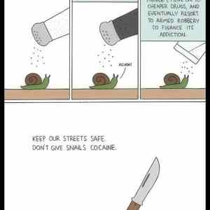 Obrázek '- Dont ever give snails cocaine -      22.04.2013'