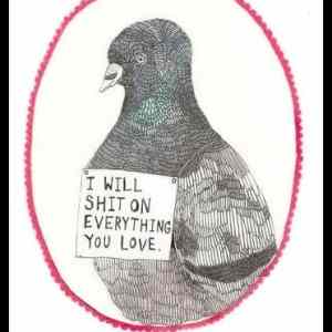 Obrázek '- Fucking pigeons -      08.02.2013'