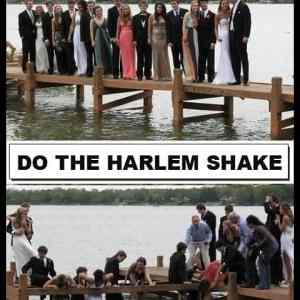 Obrázek '- Harlem Shake -      07.03.2013'
