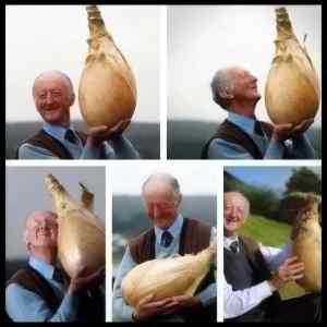 Obrázek '- I wish onions made me this happy -      14.06.2013'