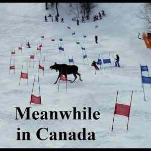 Obrázek '- Meanwhile in Canada -      22.03.2013'