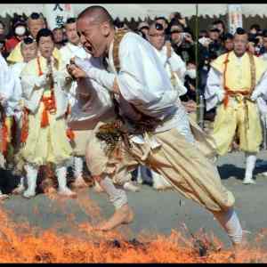 Obrázek '- Meanwhile in Tibet -      06.03.2013'