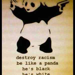 Obrázek '- No racism -      05.03.2013'