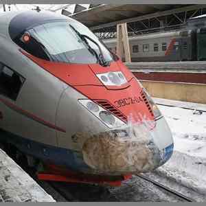 Obrázek '- Train -      07.02.2013'