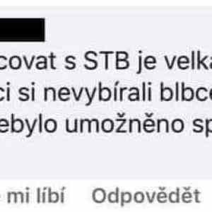 Obrázek '- jestli to neni nakonec ta nase Dana Kopecna -'