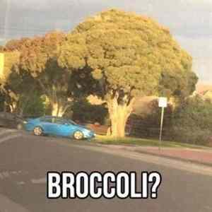 Obrázek '-broccoli-'