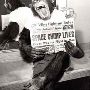 Obrázek '1961 Space Chimp'