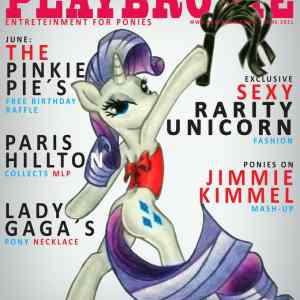 Obrázek '29725 - cover parody Playboy rarity'