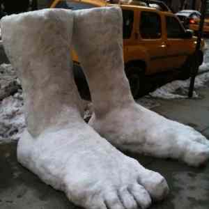 Obrázek '2 Feet of snow in New York 05-02-2012'
