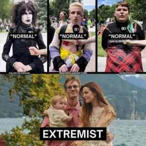 Obrázek '3 times normal vs one extremist'