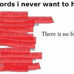 Obrázek '4 words i never'