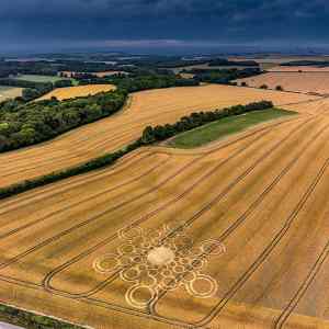 Obrázek '9th of July 2023 at Lane End Down near Beauworth Hampshire UK'