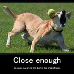 Obrázek 'A - dog ball close enough'