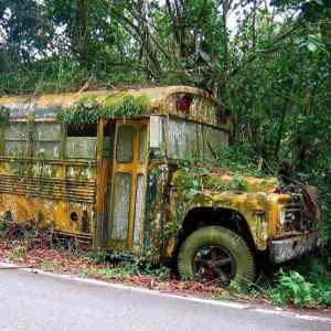 Obrázek 'Abandoned-school-bus-on-the-side-of-the-road'