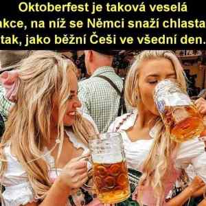 Obrázek 'Alkohol je metla lidstva'