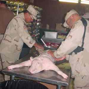 Obrázek 'Americane muci vezne na Guantanamu'