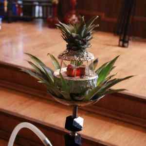 Obrázek 'Ananas shisa'