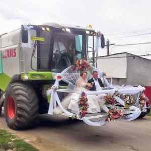 Obrázek 'And the farmer and his wife lived happily ever after'