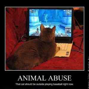 Obrázek 'Animal Abuse 10-01-2012'