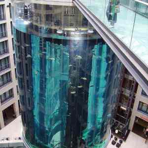 Obrázek 'Aquarium elevator'