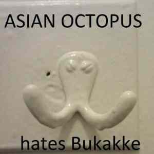 Obrázek 'Asian Octopus'