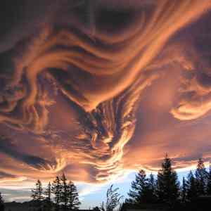 Obrázek 'Asperatus Clouds Over New Zealand'