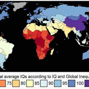 Obrázek 'Average IQ'