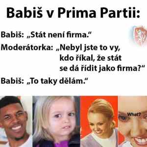 Obrázek 'Babis partie'