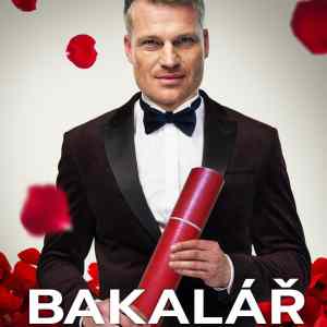 Obrázek 'Bachelor'