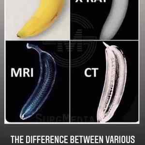 Obrázek 'Banana-for-scale'