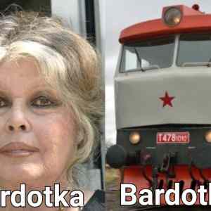 Obrázek 'Bardotka-a-Bardotka-side-by-side'