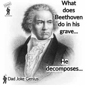 Obrázek 'Beethoven is busy'