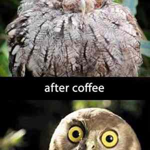 Obrázek 'Before-After-coffee'