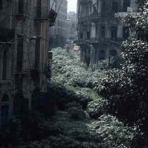 Obrázek 'Beirut green line demarcation zone 1982'