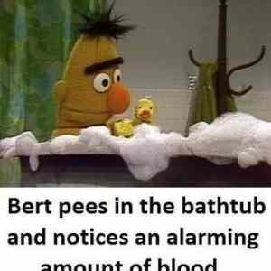 Obrázek 'Bert pee in bathtub'