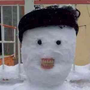 Obrázek 'Best Snowman Teeth'