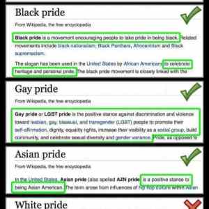 Obrázek 'Black Gay Asian'