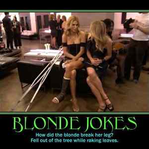 Obrázek 'Blonde jokes - 18-06-2012'