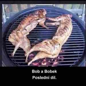 Obrázek 'BobABobOk'