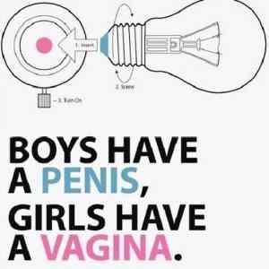 Obrázek 'Boys have a penis'