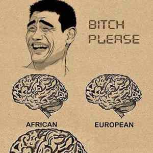 Obrázek 'Brain sizes 16-01-2012'