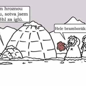 Obrázek 'BramborakVeSleve'