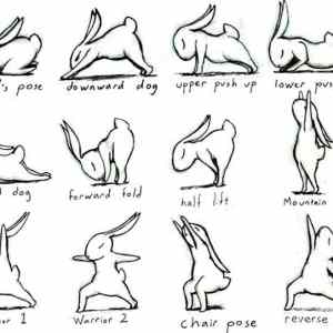 Obrázek 'Bunny - 28-05-2012'